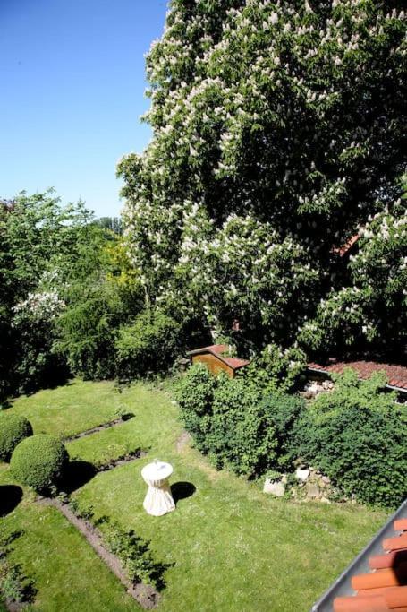 Haus Keppelborg: Zi Ferdinand Mit Rosengartenblick Heek Esterno foto
